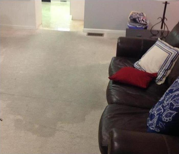 Living room carpet soaking wet