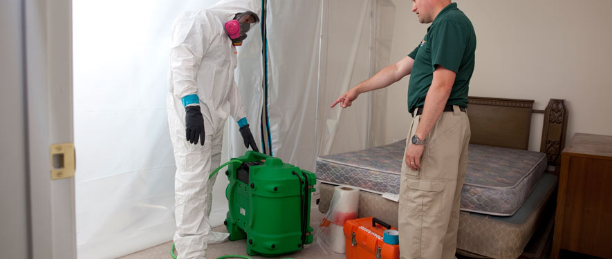 West Sacramento, CA mold removal process